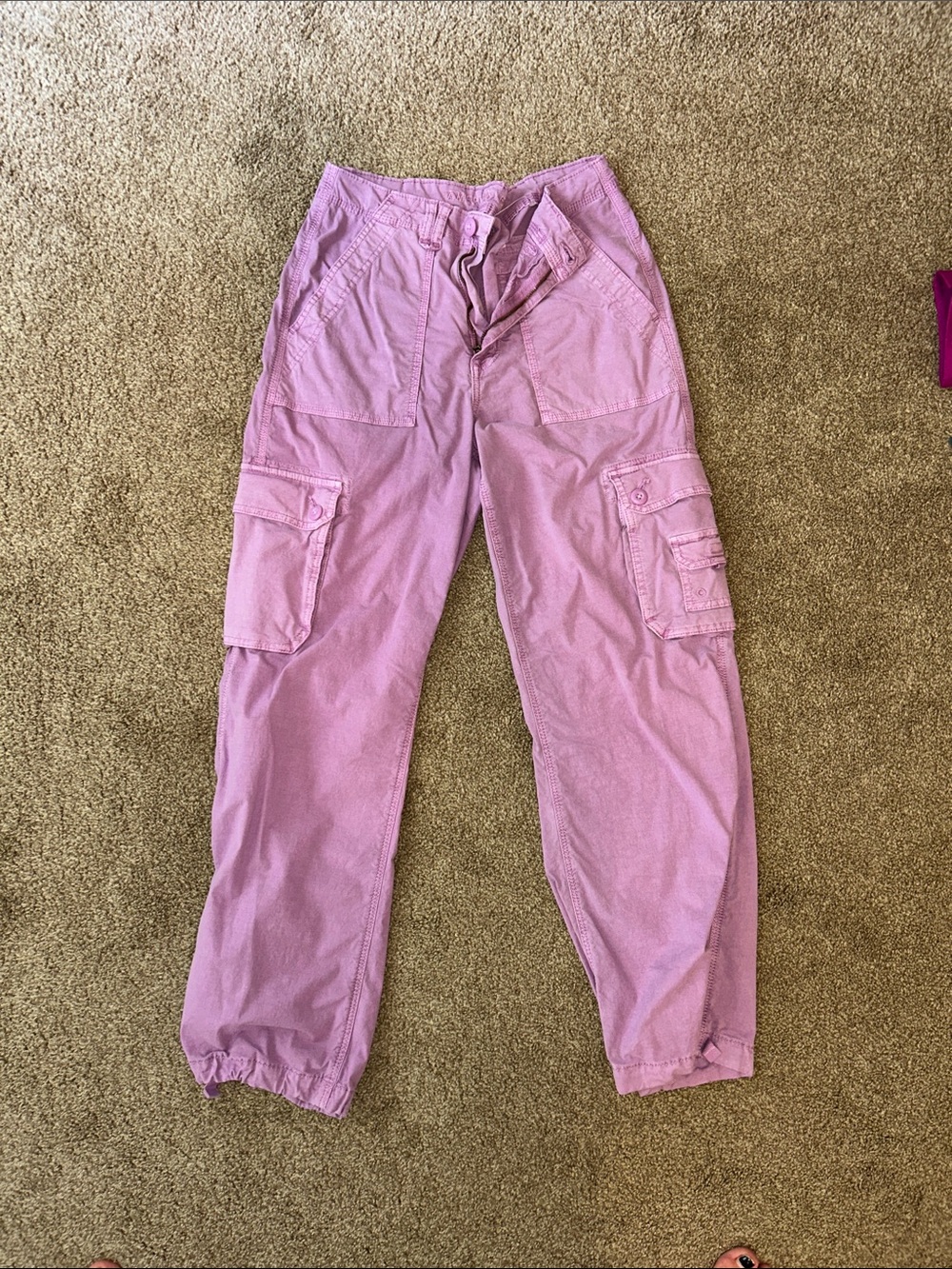American Eagle Outfitters Lilac Cargo Jogger Pants